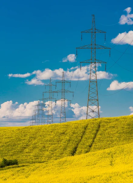 Rape Field High Voltage Electric Towers — Stock Photo, Image