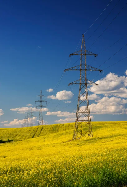 Rape Field High Voltage Electric Towers — Stock Photo, Image