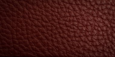 Deri şerit makro çekim