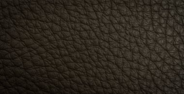 Deri şerit makro çekim