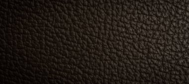 Deri şerit makro çekim