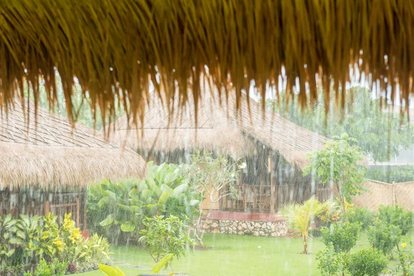 Derramando lluvia tropical — Foto de Stock