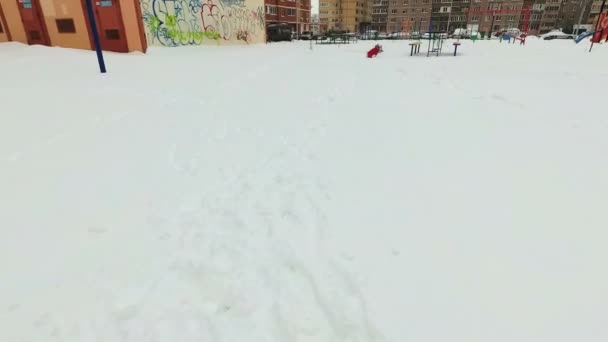 Chien Jack Russell terrier joue des anneaux violets dans la neige — Video