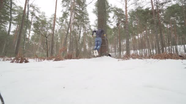 森の中で働いてる若いアスレチックマン — ストック動画