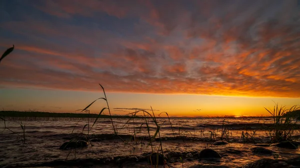 日落时分卡累利阿美丽的湖泊 — 图库照片
