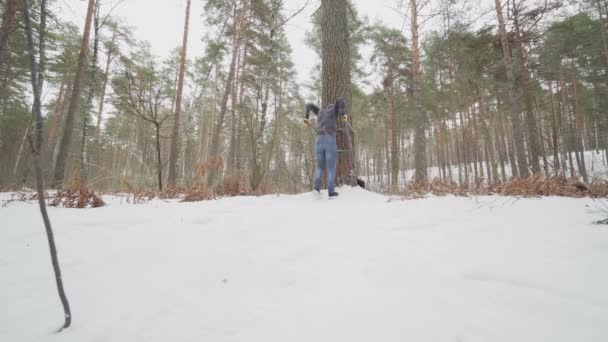 Trempettes. Jeune homme athlétique travaillant dans la forêt — Video