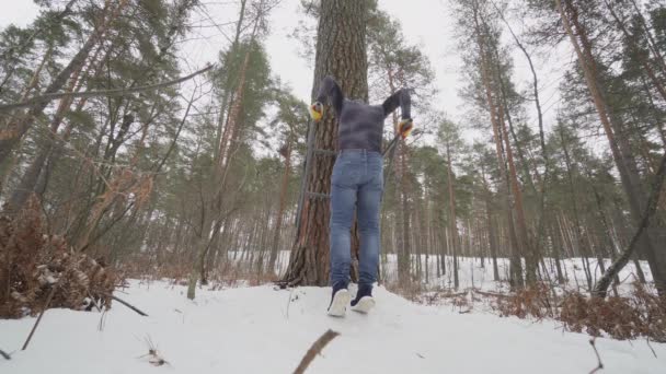 Dips. Young Athletic Man working out in forest — ストック動画