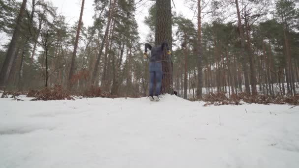 Dips. Young Athletic Man working out in forest — ストック動画