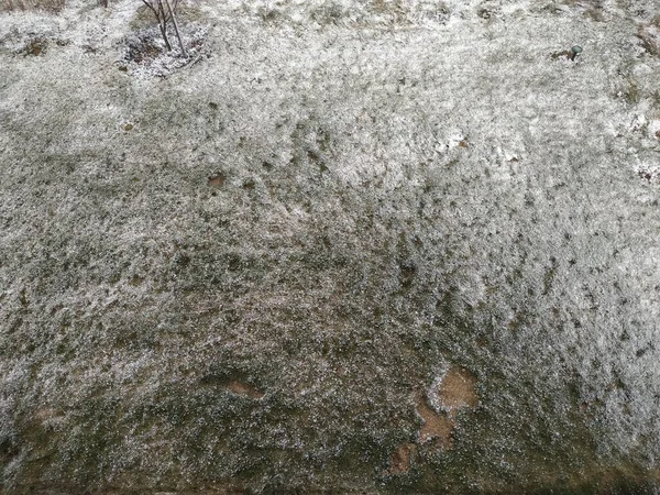 Поле травы со снегом — стоковое фото