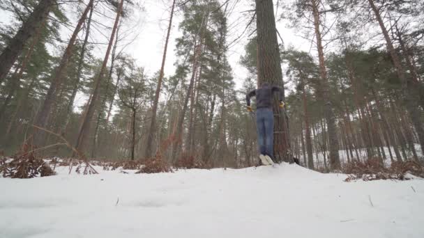 Fiatal atlétikai ember edz az erdőben — Stock videók