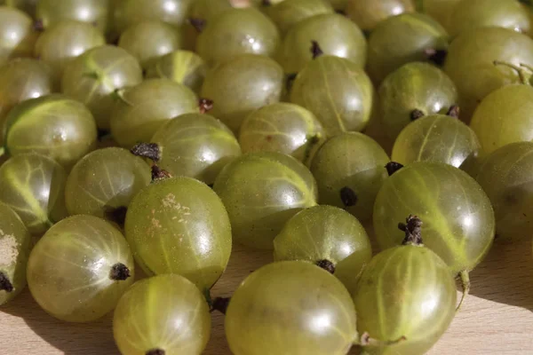 Detalle grosellas verdes — Foto de Stock