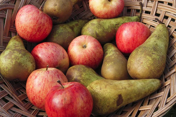 Mixed fruit on basket — Stock Photo, Image
