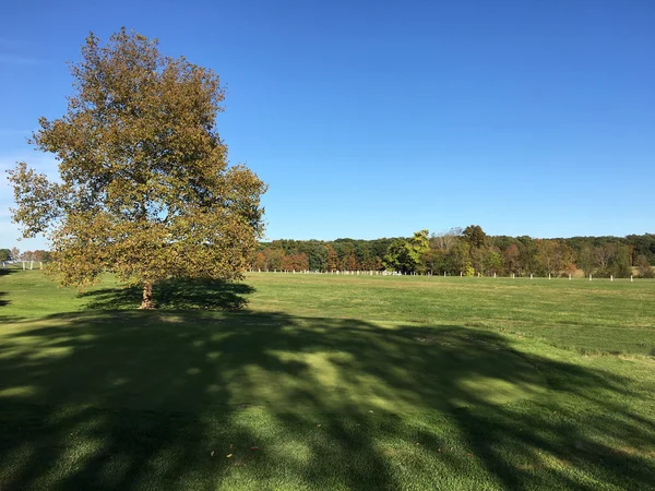 Autumn field in later afternoon — Stock Photo, Image