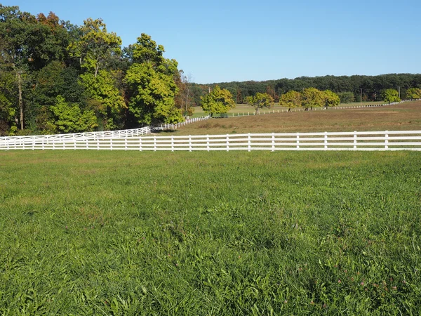 Cerca branca por uma pista de campo — Fotografia de Stock