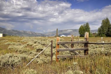 prairie in Colorado clipart