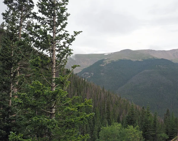 Blick auf die Colorado-Berge — Stockfoto
