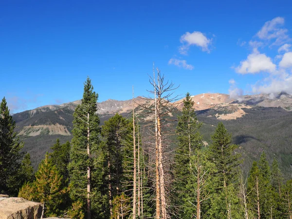 Parc national des Rocheuses dans le Colorado — Photo