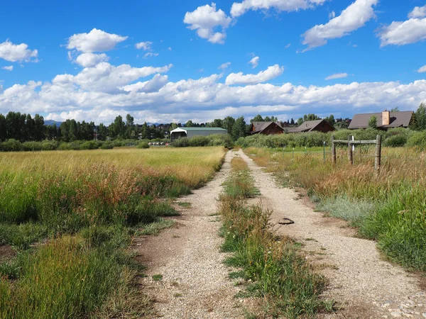 Dirt road by a prairie in rural Colorado — Stock Photo, Image