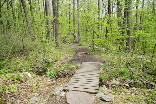 森の中の小さな小川の上に作られた人工の木製の歩道 道は丸みを帯びた石造りになっている — ストック写真