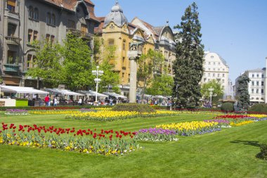 Kent Meydanı ile landscaped park