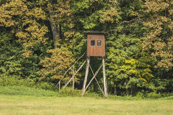 Ormanda Kule — Stok fotoğraf