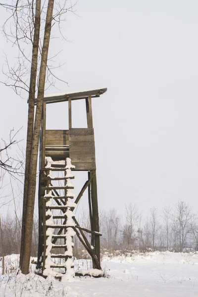 Banco tallado, principios de la primavera en el parque — Foto de stock