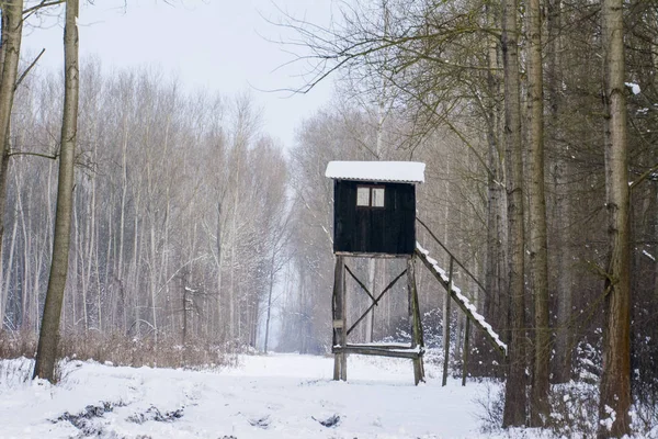 Tour Chasse Sur Les Bois — Photo