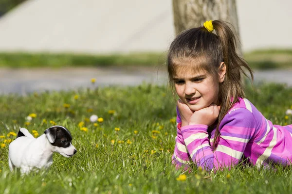 Красивая Маленькая Девочка Собакой — стоковое фото