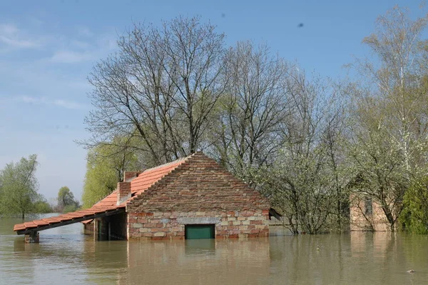 Maison Immergée Dans Inondation — Photo