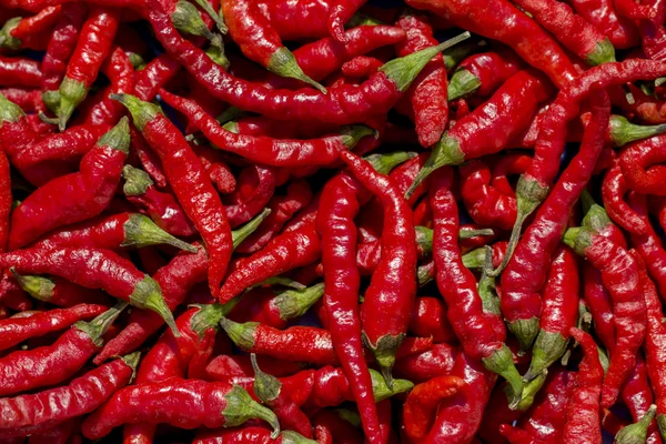 Hot red pepper pozadí Royalty Free Stock Obrázky