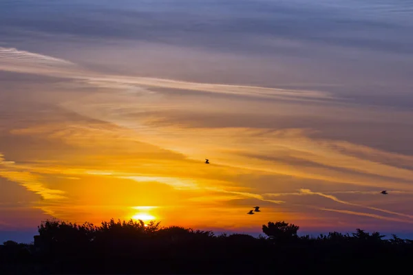 Восход солнца над Сифордом — стоковое фото