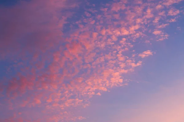 Wolken bij dageraad Stockfoto