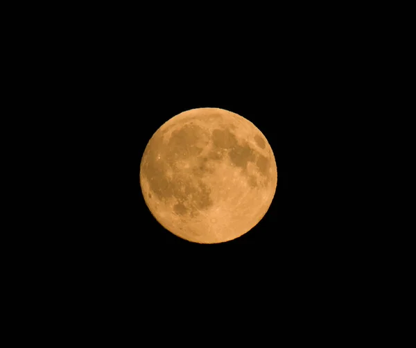 Full Grain Moon в августе — стоковое фото