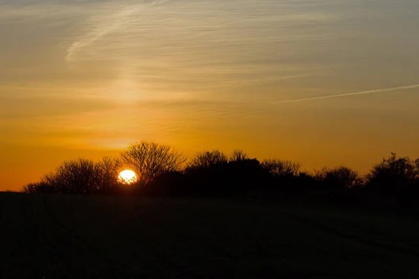 Coucher de soleil et arbres — Photo