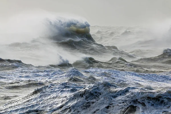 风和海浪 — 图库照片