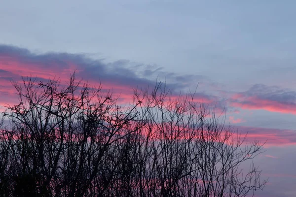 Západu slunce na obloze a stromy — Stock fotografie