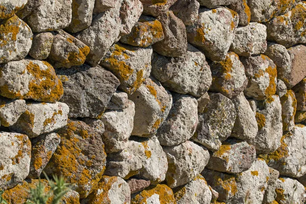 Mur et lichen — Photo