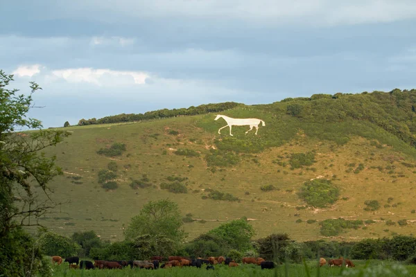 Litlington White Horse — Stock Photo, Image
