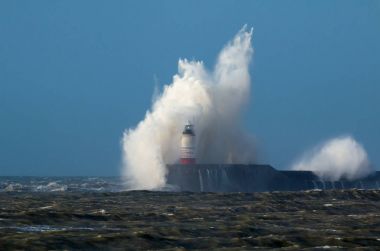 Dalga ve deniz feneri üzerinde martı