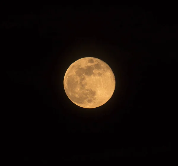 青い月が昇る — ストック写真