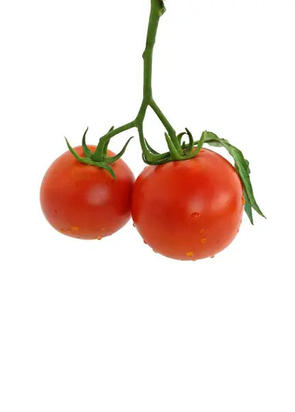 Dos Tomates Con Hojas Sobre Fondo Blanco — Foto de Stock