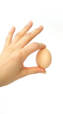 Bir yumurta elde