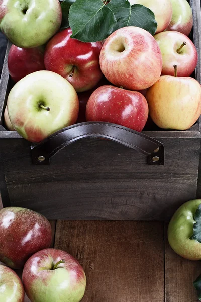 Bushel de maçãs — Fotografia de Stock