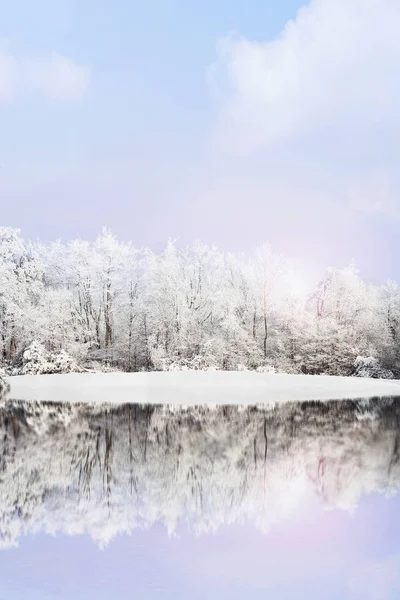 Donmuş kış manzarası — Stok fotoğraf