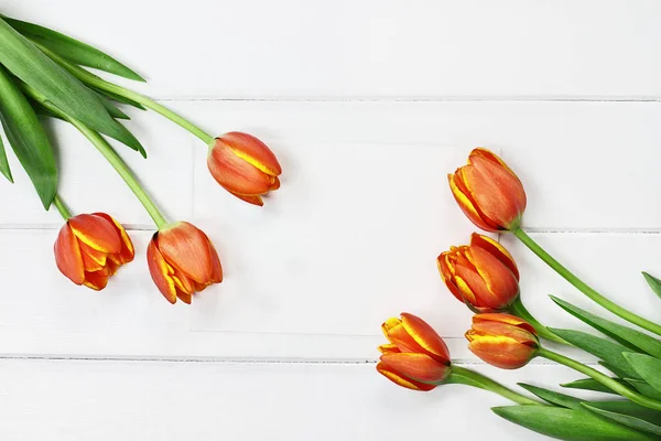 Tulipanes y tarjeta en blanco — Foto de Stock
