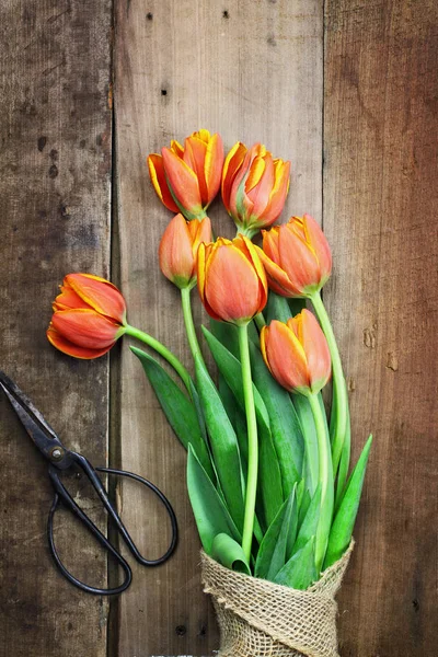 Starožitné nůžky a Bouguet tulipánů — Stock fotografie