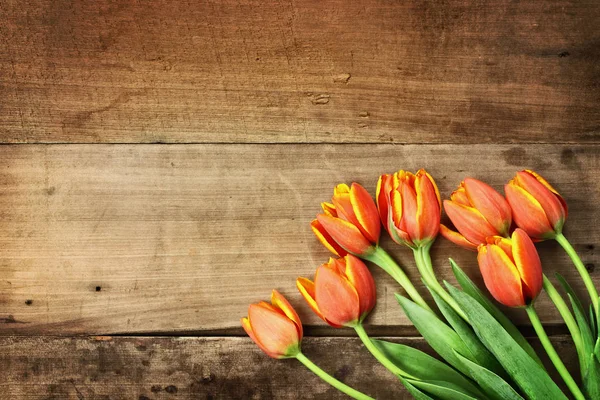 Помаранчевий тюльпани над деревини Table Top — стокове фото
