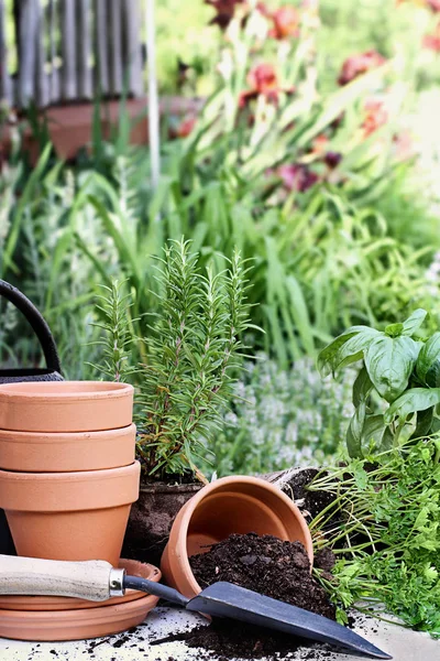 Jardinagem Trowel e plantas — Fotografia de Stock