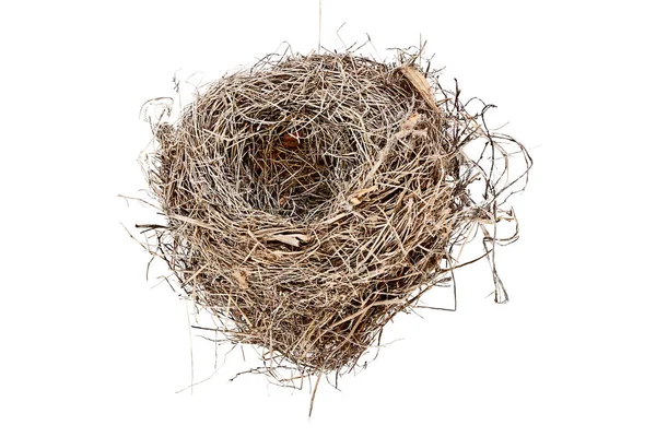 Geïsoleerde lege vogel Nest — Stockfoto