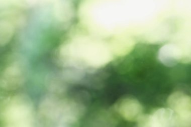 Soyut bulanık yeşil yaz bokeh 